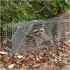 Image Result For Animal Trap Animal Traps Pet Cage Live Animals