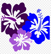 Palm, banana leaf, hibiscus and plumeria flowers. Hawaiian Flower Clipart Hawaiian Flower Clip Art Hibiscus Hibiscus Flowers Clip Art Hd Png Download 1024x1024 2848217 Pngfind