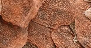 Pin By Kelly Kessler Ceramics On Makes Me Wonder Microscopic Photography Human Photography Human Body