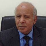 مصريون في الكويت سيد عثمان يكتب الحكومة وفن تعذيب المصريين