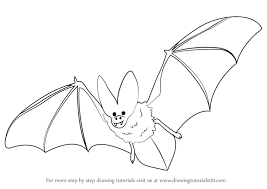 Learn How To Draw A Bat Birds Step By Step Drawing Tutorials Are you looking for the best simple bat drawing for your personal blogs, projects or designs, then clipartmag is the place just for you. learn how to draw a bat birds step by