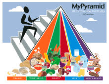 Vegetables, fruits, grains, protein foods, dairy products, and oils. Food Pyramid Nutrition Wikipedia