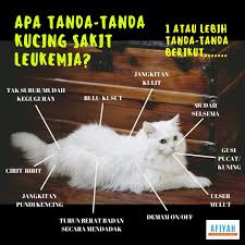 Check spelling or type a new query. Afiyah Vet Afiyahvet ØªÙˆÛŒÛŒØªØ±