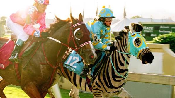 Watch Racing Stripes | Netflix