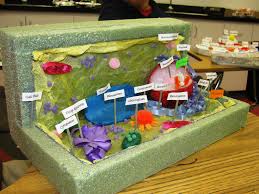 Maybe you would like to learn more about one of these? Plant Cell Florida Science Flickr