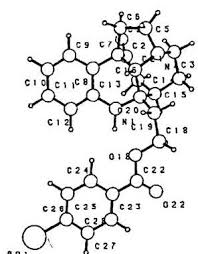 Image result for Strychnos gossweileri