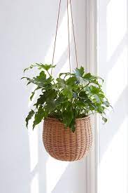 25 Creative Hanging Basket Designs Hanging Plants Outdoor Hanging Plants Diy Hanging Plants