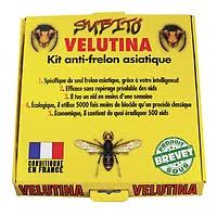 Cette méthode peut être généralisée et installée en ville, en zone résidentielle, à la l'astuce est simple, il suffit de protéger l'appât avec un grillage qui laissera passer l'air chargé d'arômes, et suffisamment fin pour que les abeilles ne. Piege A Frelon Asiatique Achat Pieges A Guepes Et Frelons Asiatiques Icko Apiculture