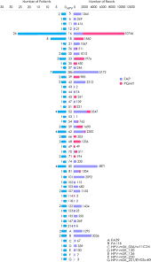 Will strive for the alpha or even beta women but seldom get the woman of their dreams. Frontiers Detection Of Alpha Beta Gamma And Unclassified Human Papillomaviruses In Cervical Cancer Samples From Mexican Women Cellular And Infection Microbiology