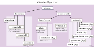 Water Soluble Vitamins Biochemistry Medbullets Step 1
