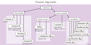 water soluble vitamins biochemistry medbullets step 1