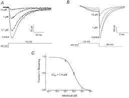 Image result for Mibefradil