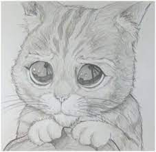Puesto que en nuestro mundo existe una gran variedad de animales. Imagenes De Animales Tiernos Para Dibujar A Lapiz Novocom Top