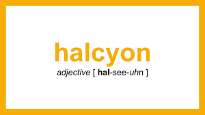 Halcyon In A Sentence – 41 Real Example Sentences