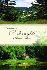 Fürdő u.57., bakonybél 8427, hungary. Bakony Hotel Bakonybel Home Facebook