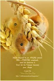 My Poems Recipes English Sinhala Lyrics Quotes Don T Let His Temper Become Your Anger Cute Animals Nature Animals Animals