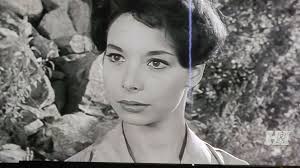 Classic TV Series Have Gun Will Travel Memories and Theme Song