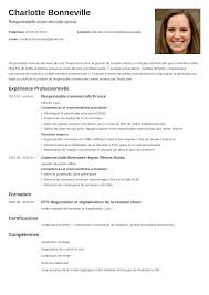 Lettres d affaires lettre commerciale preface la redaction des lettres commerciales c est un art il y a afnor association francaise de. Exemple De Cv De Commercial E Pour 2021 Competences