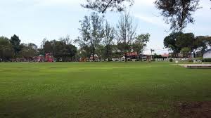 Taman rekreasi sultan abdul aziz, ipoh (padang polo). Mohd Faiz Bin Abdul Manan Taman Rekreasi Sultan Abdul Aziz