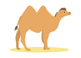 Hi everyone.wildlife all about lets you explore and provides information about different types of animals. Wild Animals In English Free Interactive Flash Cards