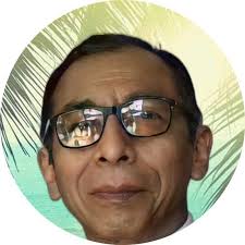 Por su destacada trayectoria científica, la Dra. Dionicia Gamboa, docente  principal e investigadora de nuestra Facultad de Ciencias e Ingeniería, fue  incorporada a la TWAS