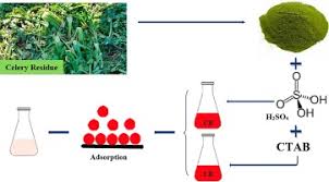 However, i modified it a little: Equilibrium Kinetic And Thermodynamic Studies Of A Low Cost Biosorbent For The Removal Of Congo Red Dye Acid And Ctab Acid Modified Celery Apium Graveolens Sciencedirect
