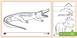 Grab these free printable, jungle animal coloring pages, perfect for strengthening fine muscles, having fun, adding to an animal theme, as activity sheets wacky rainforest animals slide show from national geographic kids. Free Jungle Rainforest Coloring Sheets Teacher Made