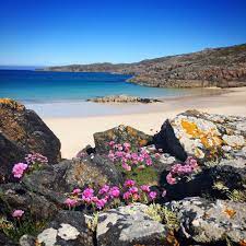 Achmelvich Beach In Scotland Scotland Places To Visit Achmelvich Beach Scenery