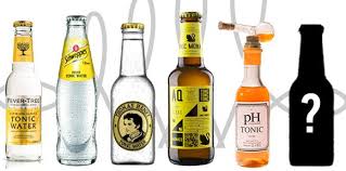 Tonic Water Selbst Herstellen Rezept Zubereitung Tonic Water Gin Tonic Rezept Gin