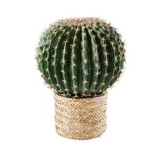 Decorazione Da Giardino Cactus In Giunco Marittimo H 46 Cm Maisons Du Monde Accessoire Jardin Cactus Jardin Maison Du Monde