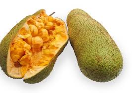 Tanaman ini berasal dari asia tenggara, dan menyebar luas mulai dari wilayah tenasserim di burma. Sumber Ilham Khasiat Buah Cempedak