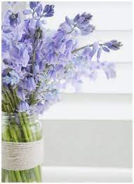 Little Miss Homes Beautiful Flowers Pretty Flowers Flower Arrangements