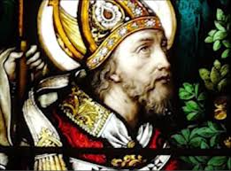 Saint Malachy's Instagram, Twitter & Facebook