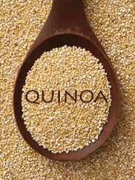 Is Quinoa Healthy For Dogs Any Downsides Best Advice