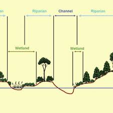 Plant habitats and communities along the river margins and banks are called riparian vegetation, characterized by hydrophilic plants. Pdf Riparian Areas Of Greece Their Definition And Characteristics