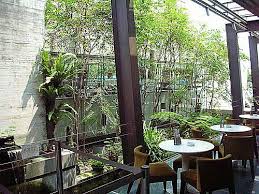 曲木餐椅 tea work人水私房 plants