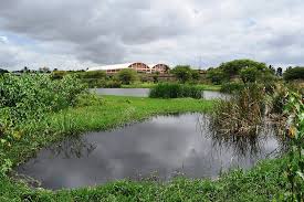 The 10 new ones are nandur madhameshwar. Wetlands And Our World Wwf India
