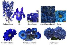 Blue Wedding Flowers Blue Wedding Flowers Bright Wedding Flowers Types Of Blue Flowers