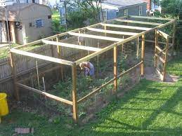 Grow It Eat It 6 1 10 7 1 10 Garden Enclosure Ideas Garden Enclosure Garden Cage