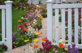 Facing a fence with rotting posts but don't want to redo the whole thing? Fence Repair House Doctors Handyman Services