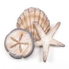 Add The Coastal Feel To Your Home With The Beachy Beach Vibes Shells Wood Metal Wall Art Hand Carved Wooden Seashell Wall Art Beach Wall Decor Wall Sculptures