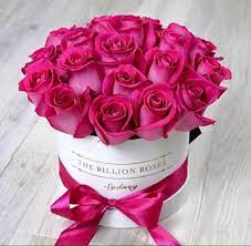 We did not find results for: Pin By Anam On Hello Pretty Things Luxury Flowers Flowers Bouquet Amazing Flowers