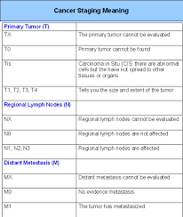 Staging gives you and your doctor an overview of what to expect and helps to determine the best treatment options. Cancer Stages With Staging Chart Hubpages