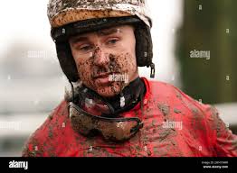 Horse carver hi-res stock photography and images