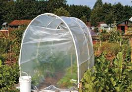 Bend the hoop to insert the other end on the other side of the. Wsmag Net Step By Step Instructions Extending The Season With A Hoop House Westsound Magazine
