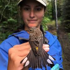 Cara Snell's Instagram, Twitter & Facebook