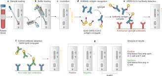 Widespread testing with quick turnaround times; Diagnostics For Sars Cov 2 Infections Nature Materials