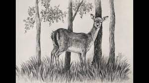 Maybe you would like to learn more about one of these? Draw And Shade A Deer Pencil Drawing Of A Deer Animal Drawing Youtube