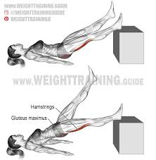 Gluteus medius and gluteus minimus are exercised isometrically on basic standing single leg quad and glute exercises. Lying Single Straight Leg Hip Extension Instructions And Video Biceps Workout Hip Extension Exercise Leg Workout