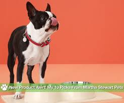 A wide variety of petsmart collars options are available to you Martha Stewart And Petsmart Popsugar Pets